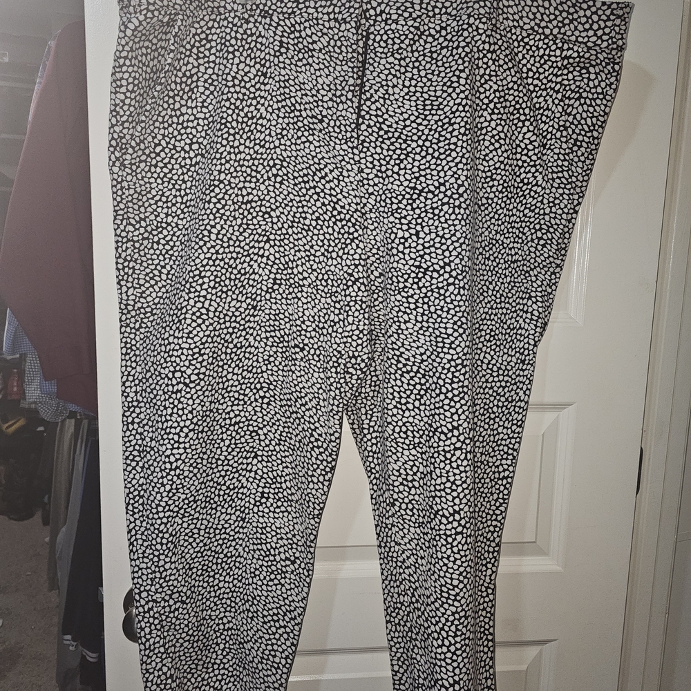 Lane Bryant Black and White Cropped Pants